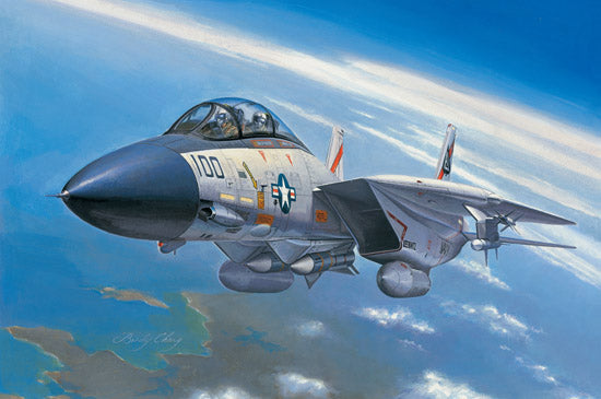 Hobby Boss F-14A Tomcat (1:72)