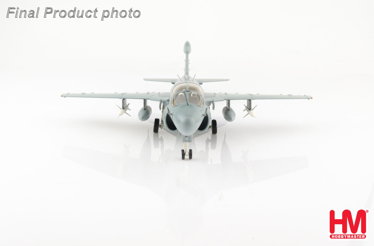 Hobby Master Grumman EA-6B Prowler (1:72)