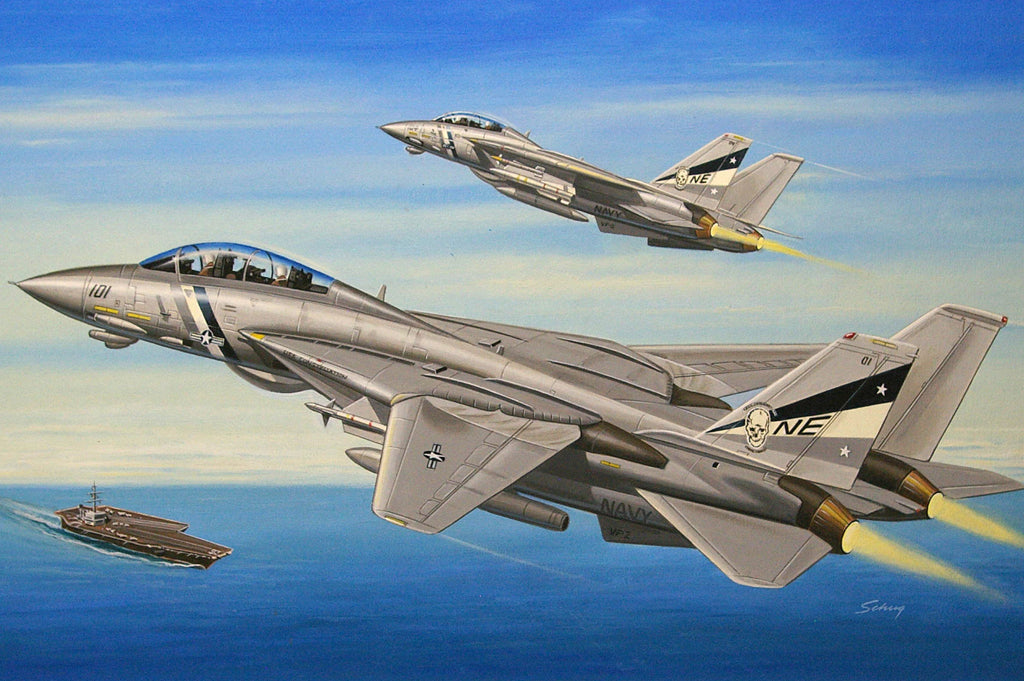 Hobby Boss F-14D Super Tomcat (1:72)