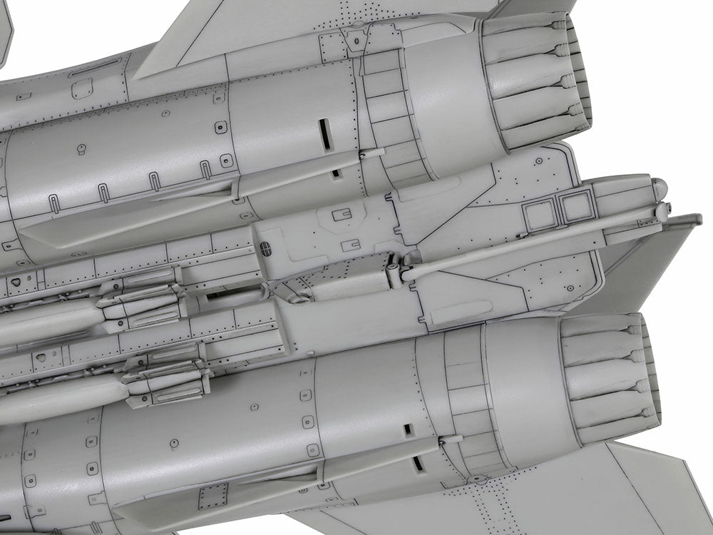 Tamiya Grumman F-14D Tomcat (1:72)